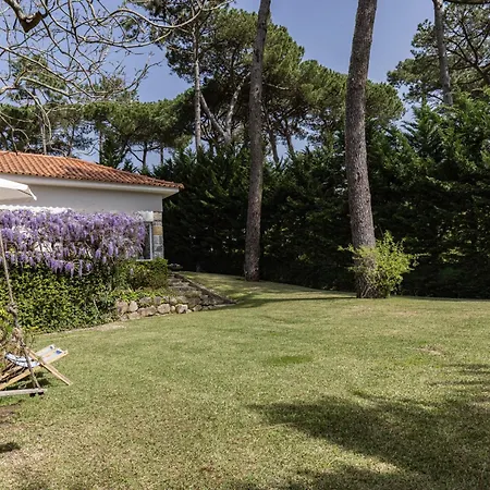 Natura Sintra